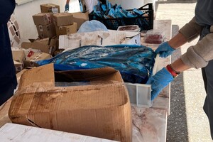 Разрушенный супермаркет из разрушенной "Ривьеры" раздал продукты жителям Одесской области
