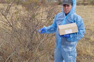 В Одесской области разложили более 200 тысяч приманок с вакциной от бешенства