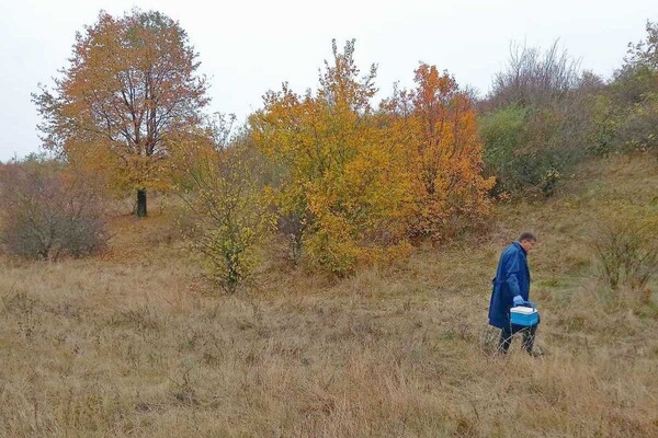 В Одесской области разложили более 200 тысяч приманок с вакциной от бешенства